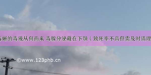 毒蜥的毒液从何而来 毒腺分泌藏在下颚（致死率不高但需及时清理）