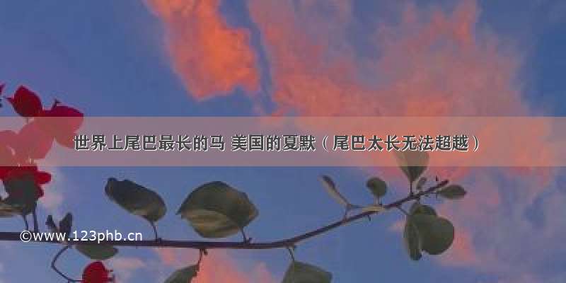 世界上尾巴最长的马 美国的夏默（尾巴太长无法超越）