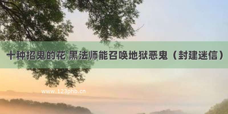 十种招鬼的花 黑法师能召唤地狱恶鬼（封建迷信）