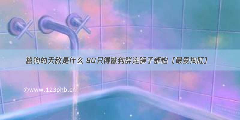 鬣狗的天敌是什么 80只得鬣狗群连狮子都怕（最爱掏肛）