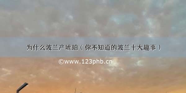 为什么波兰产琥珀（你不知道的波兰十大趣事）