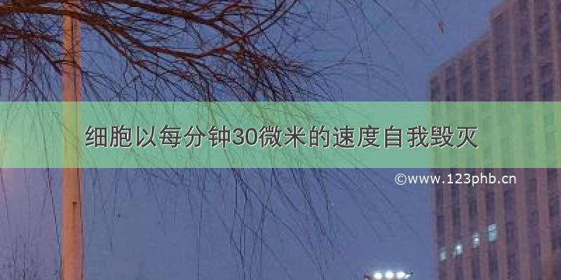 细胞以每分钟30微米的速度自我毁灭