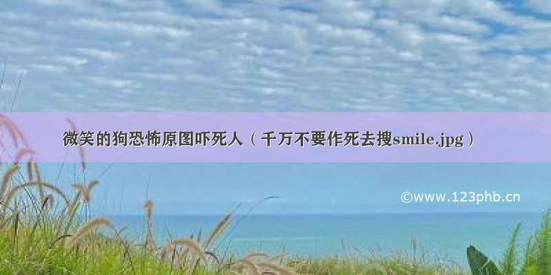 微笑的狗恐怖原图吓死人（千万不要作死去搜smile.jpg）