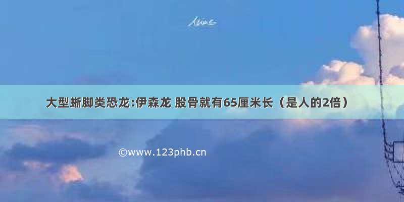 大型蜥脚类恐龙:伊森龙 股骨就有65厘米长（是人的2倍）