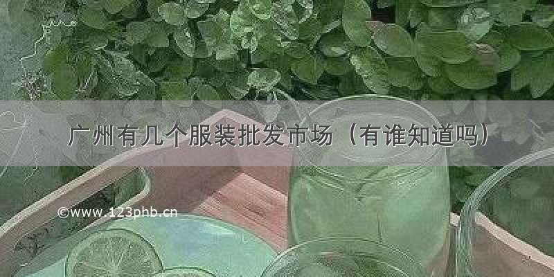 广州有几个服装批发市场（有谁知道吗）