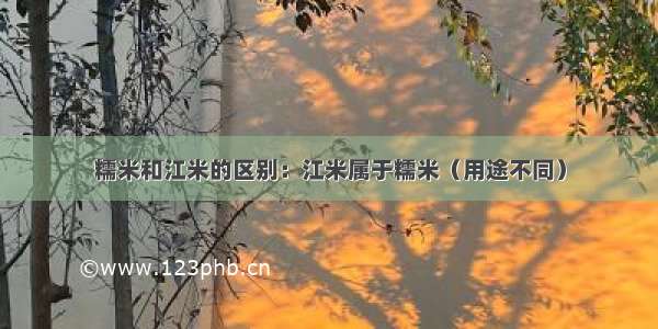 糯米和江米的区别：江米属于糯米（用途不同）