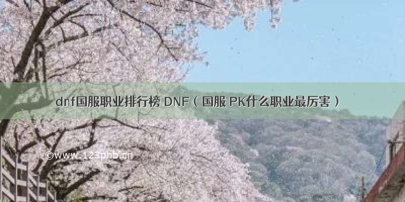 dnf国服职业排行榜 DNF（国服 PK什么职业最厉害）