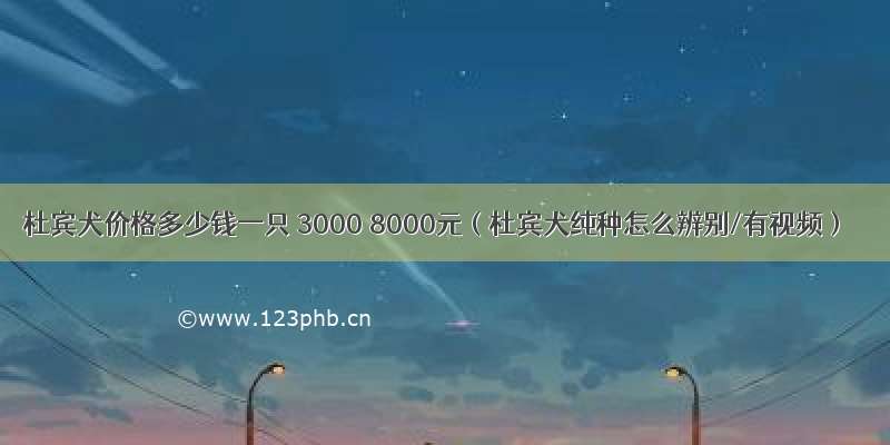 杜宾犬价格多少钱一只 3000 8000元（杜宾犬纯种怎么辨别/有视频）