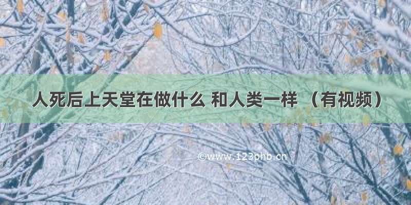 人死后上天堂在做什么 和人类一样 （有视频）