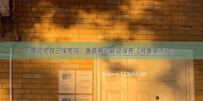 斗鱼会把自己撑死吗：鱼苗期可能会撑死（成鱼期不会）