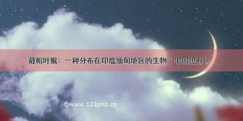 戴帽叶猴：一种分布在印度缅甸地区的生物（中国也有）