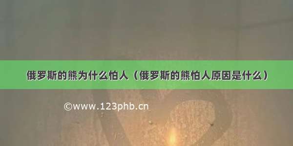 俄罗斯的熊为什么怕人（俄罗斯的熊怕人原因是什么）