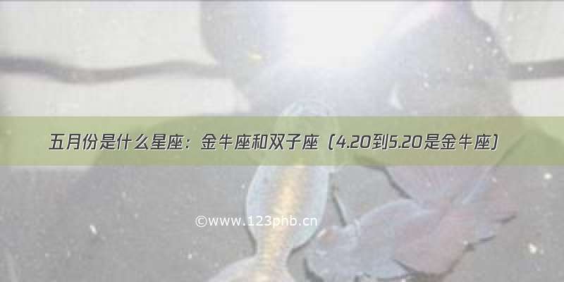 五月份是什么星座：金牛座和双子座（4.20到5.20是金牛座）