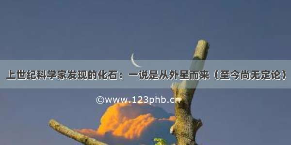 上世纪科学家发现的化石：一说是从外星而来（至今尚无定论）