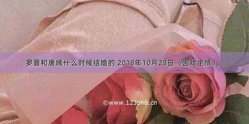 罗晋和唐嫣什么时候结婚的 2018年10月28日（因戏生情）