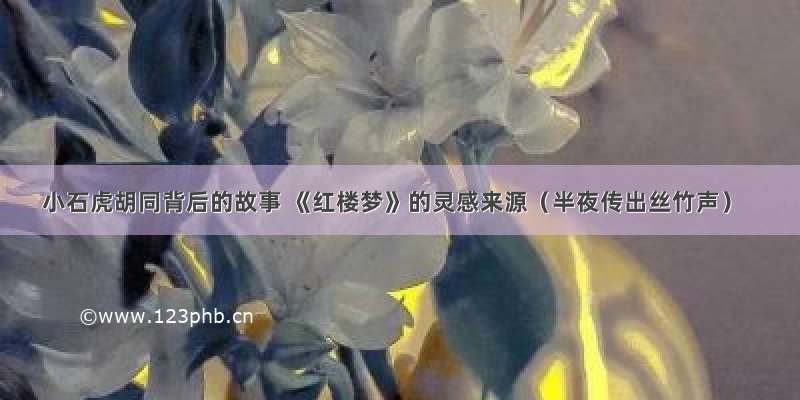 小石虎胡同背后的故事 《红楼梦》的灵感来源（半夜传出丝竹声）