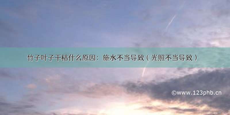 竹子叶子干枯什么原因：施水不当导致（光照不当导致）