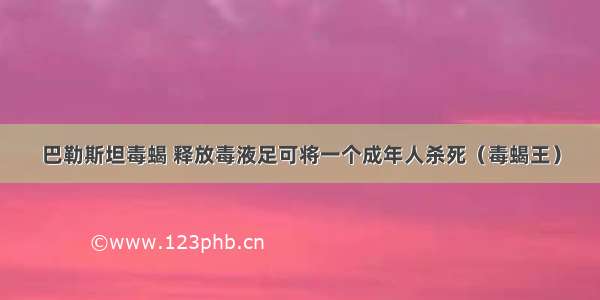 巴勒斯坦毒蝎 释放毒液足可将一个成年人杀死（毒蝎王）