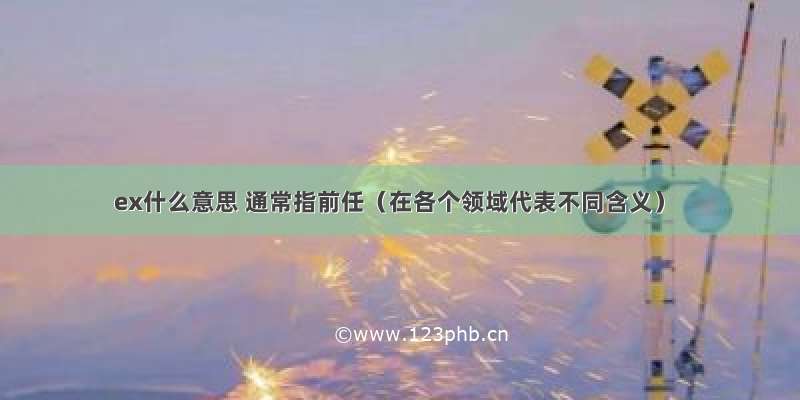 ex什么意思 通常指前任（在各个领域代表不同含义）