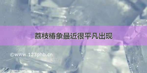 荔枝椿象最近很平凡出现