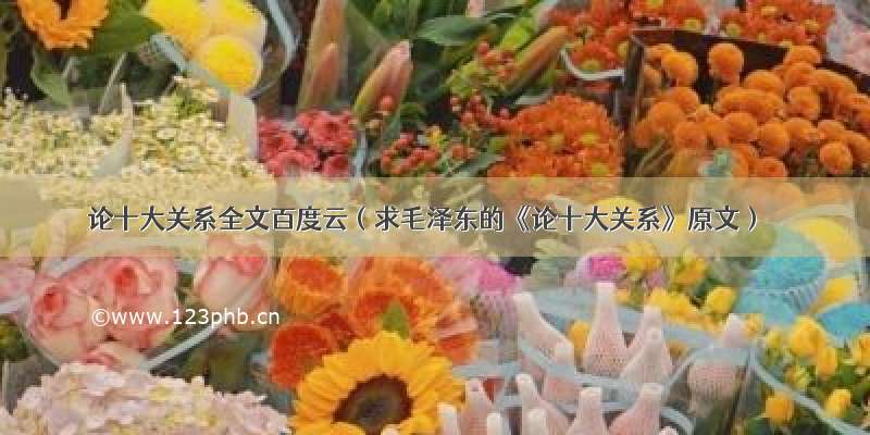 论十大关系全文百度云（求毛泽东的《论十大关系》原文）