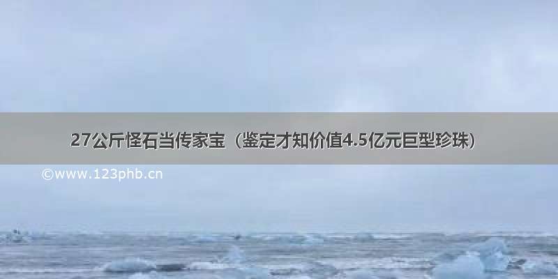 27公斤怪石当传家宝（鉴定才知价值4.5亿元巨型珍珠）