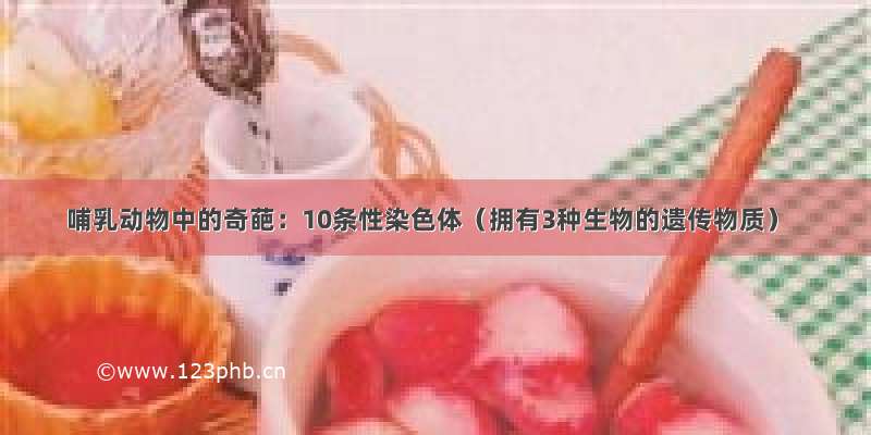 哺乳动物中的奇葩：10条性染色体（拥有3种生物的遗传物质）