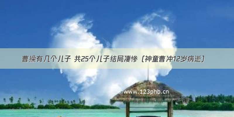 曹操有几个儿子 共25个儿子结局凄惨（神童曹冲12岁病逝）