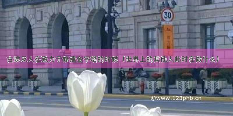 古埃及人在致力于修建金字塔的时候（世界上的其他人此时在做什么）