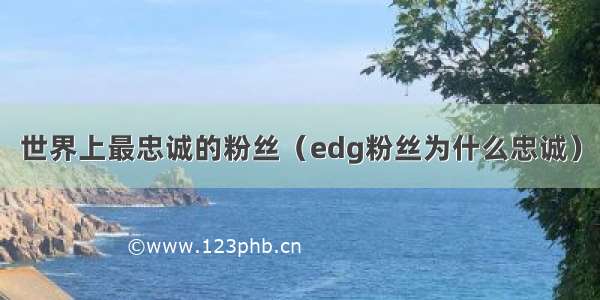 世界上最忠诚的粉丝（edg粉丝为什么忠诚）