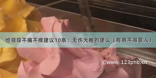 给领导不痛不痒建议10条：无伤大雅的建议（有用不得罪人）