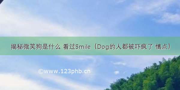 揭秘微笑狗是什么 看过Smile（Dog的人都被吓疯了 慎点）