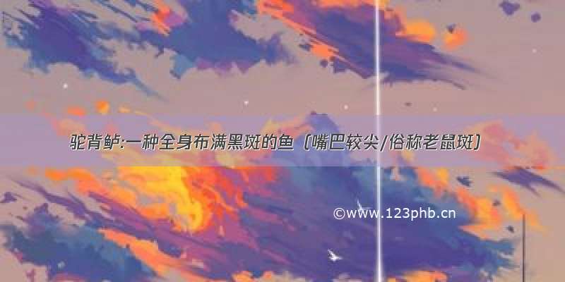 驼背鲈:一种全身布满黑斑的鱼（嘴巴较尖/俗称老鼠斑）