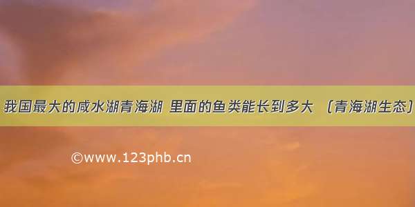 我国最大的咸水湖青海湖 里面的鱼类能长到多大 （青海湖生态）