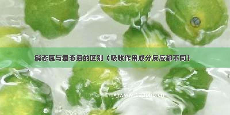 硝态氮与氨态氮的区别（吸收作用成分反应都不同）