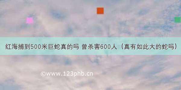 红海捕到500米巨蛇真的吗 曾杀害600人（真有如此大的蛇吗）