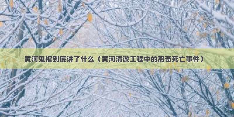 黄河鬼棺到底讲了什么（黄河清淤工程中的离奇死亡事件）