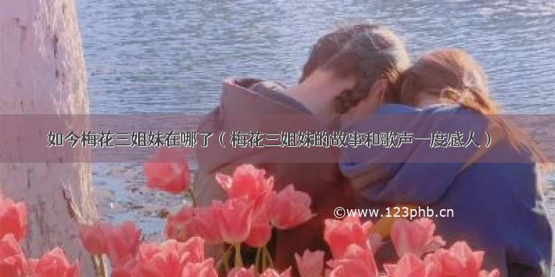 如今梅花三姐妹在哪了（梅花三姐妹的故事和歌声一度感人）