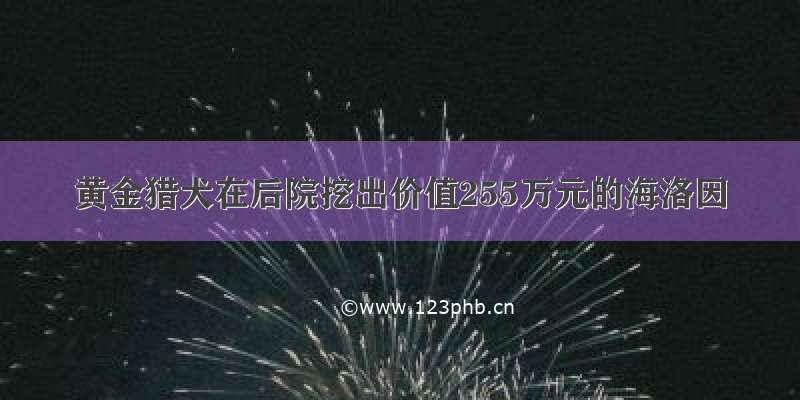 黄金猎犬在后院挖出价值255万元的海洛因