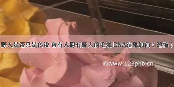 野人是否只是传说 曾有人拥有野人的毛发 DNA结果如何（恐怖）