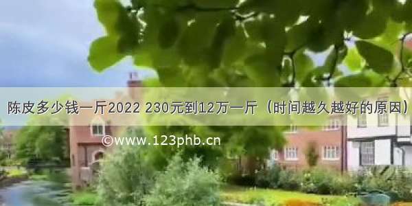 陈皮多少钱一斤2022 230元到12万一斤（时间越久越好的原因）