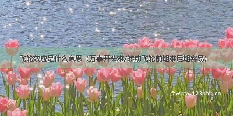 飞轮效应是什么意思（万事开头难/转动飞轮前期难后期容易）