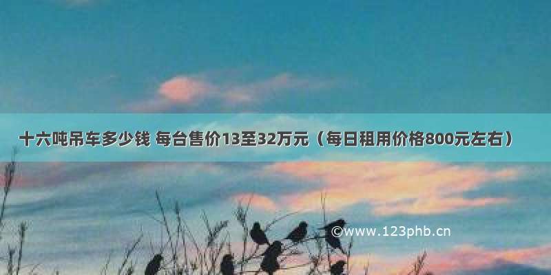 十六吨吊车多少钱 每台售价13至32万元（每日租用价格800元左右）