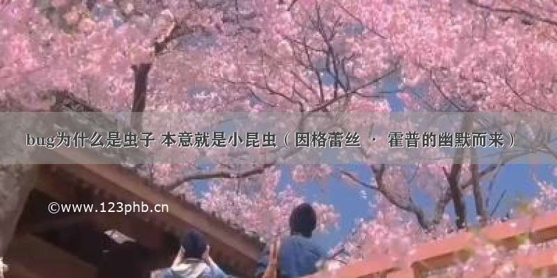 bug为什么是虫子 本意就是小昆虫（因格蕾丝 · 霍普的幽默而来）