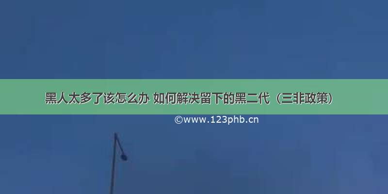 黑人太多了该怎么办 如何解决留下的黑二代（三非政策）