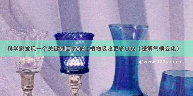 科学家发现一个关键基因 能够让植物吸收更多CO2（缓解气候变化）