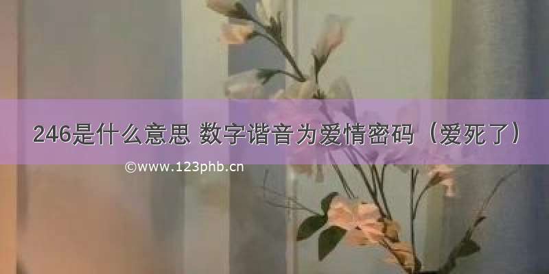 246是什么意思 数字谐音为爱情密码（爱死了）