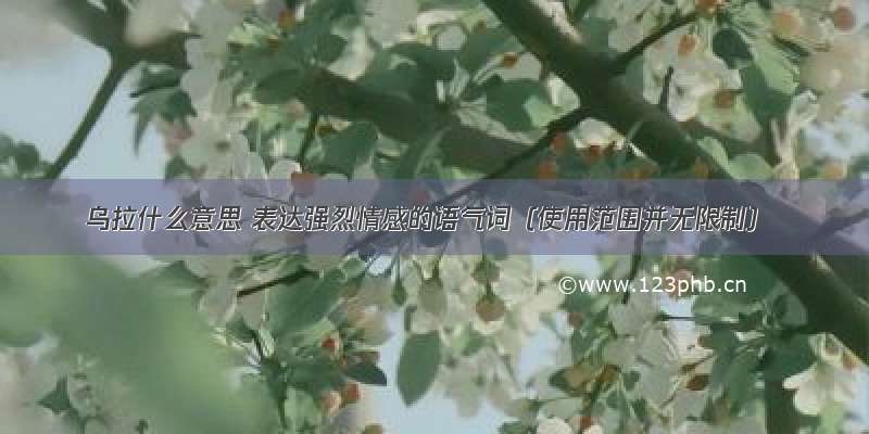 乌拉什么意思 表达强烈情感的语气词（使用范围并无限制）