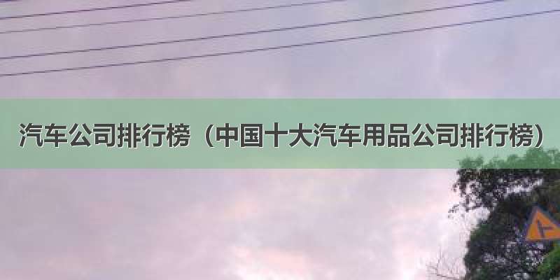 汽车公司排行榜（中国十大汽车用品公司排行榜）