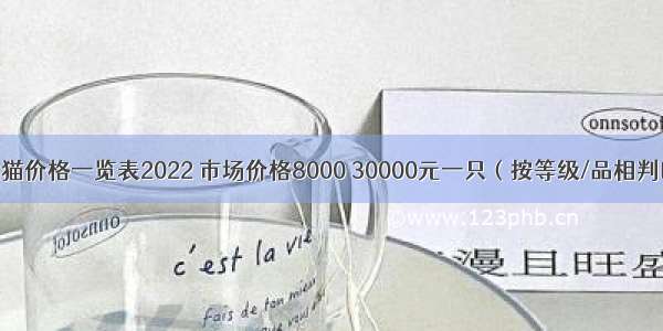 布偶猫价格一览表2022 市场价格8000 30000元一只（按等级/品相判断）